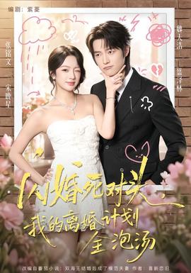 闪婚死对头，我的离婚计划全泡汤封面