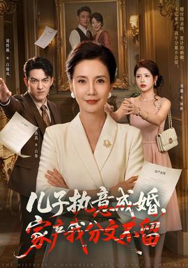 儿子执意成婚,家产我分文不留封面